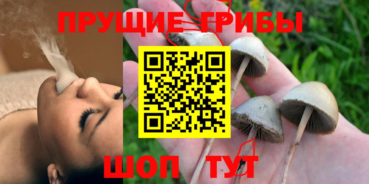 Жуковский  где можно купить   Галлюциногенные грибы Cubensis  Вход с VPN  Псилоцибиновые грибы GOLDEN TEACHER 