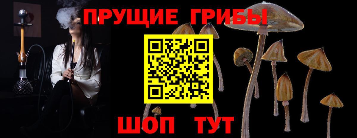 Галлюциногенные грибы MAGIC MUSHROOMS Жуковский